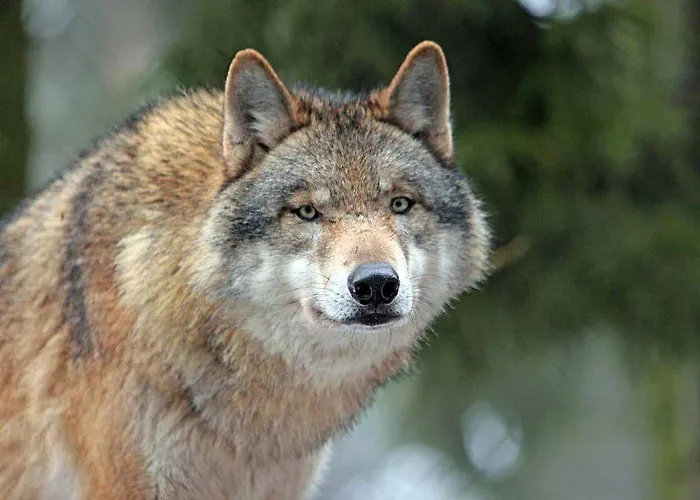 Apartamento Schloss Stulpe