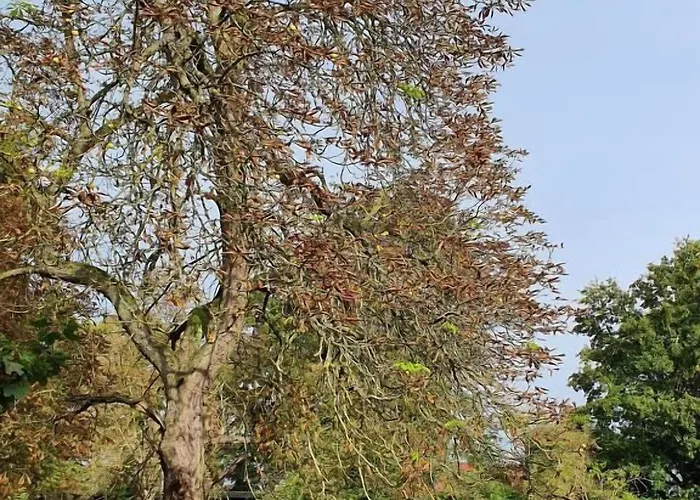 アパート Schloss