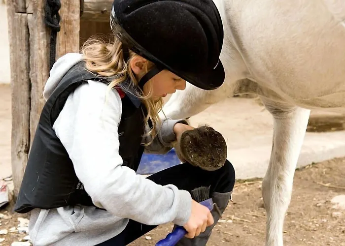 Schloss アパート Stülpe