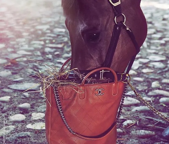 アパート Schloss