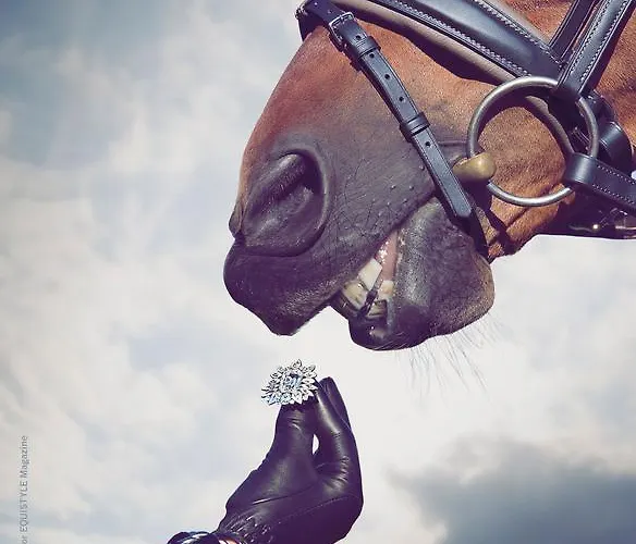 アパート Schloss *